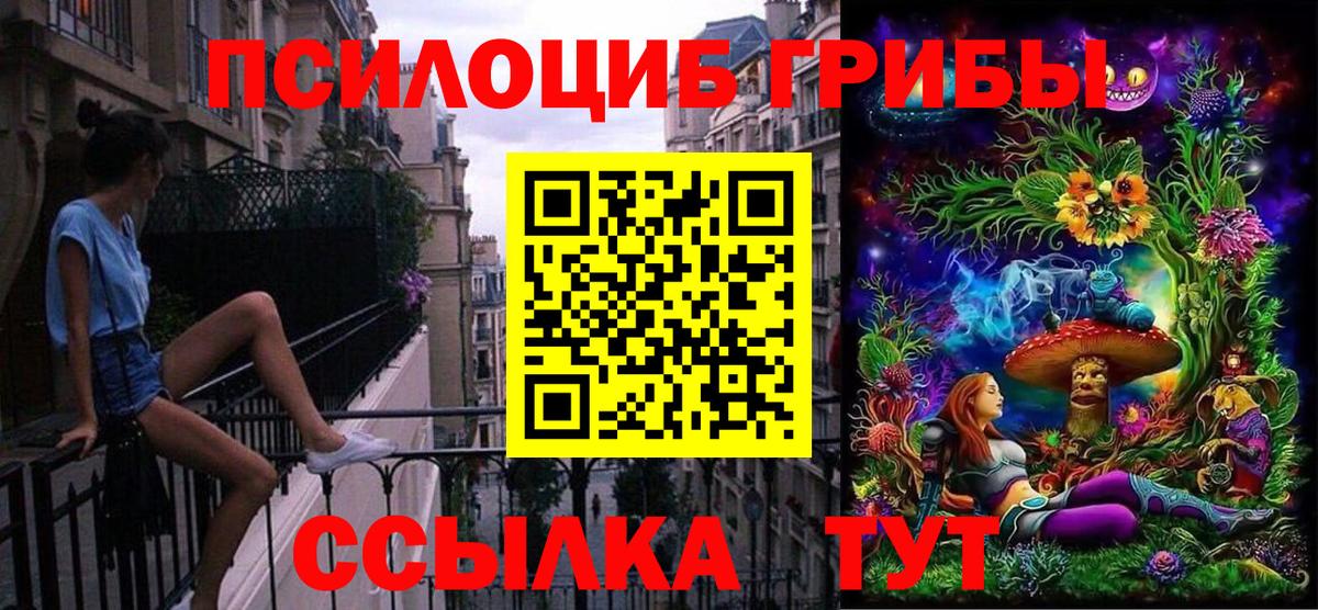 Галлюциногенные грибы MAGIC MUSHROOMS Димитровград